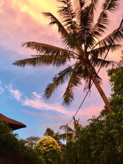 Villa Jalun Seminyak Zewnętrze zdjęcie